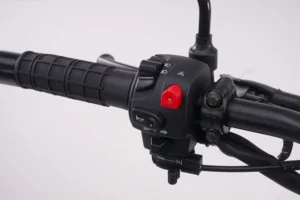 GILERA_SMX200_END_DETALLES_6.jpg
